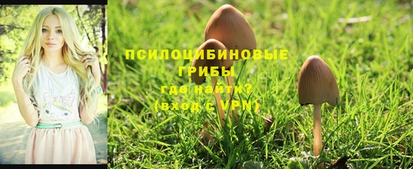 твердый Кинешма